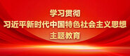 乡村热逼视频学习贯彻习近平新时代中国特色社会主义思想主题教育_fororder_ad-371X160(2)